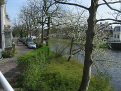 Singelpark35