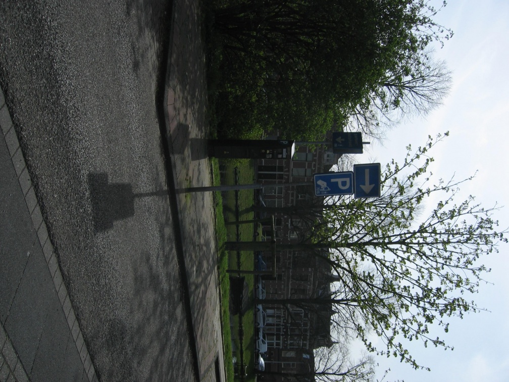 Singelpark37