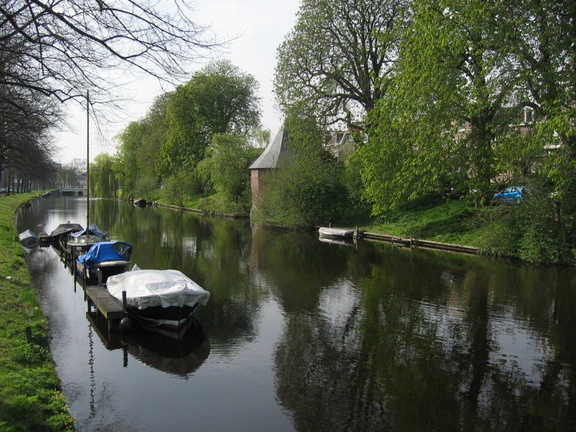 Singelpark41