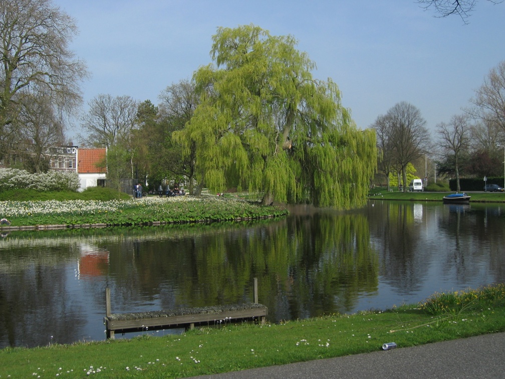Singelpark43