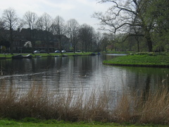 Singelpark52