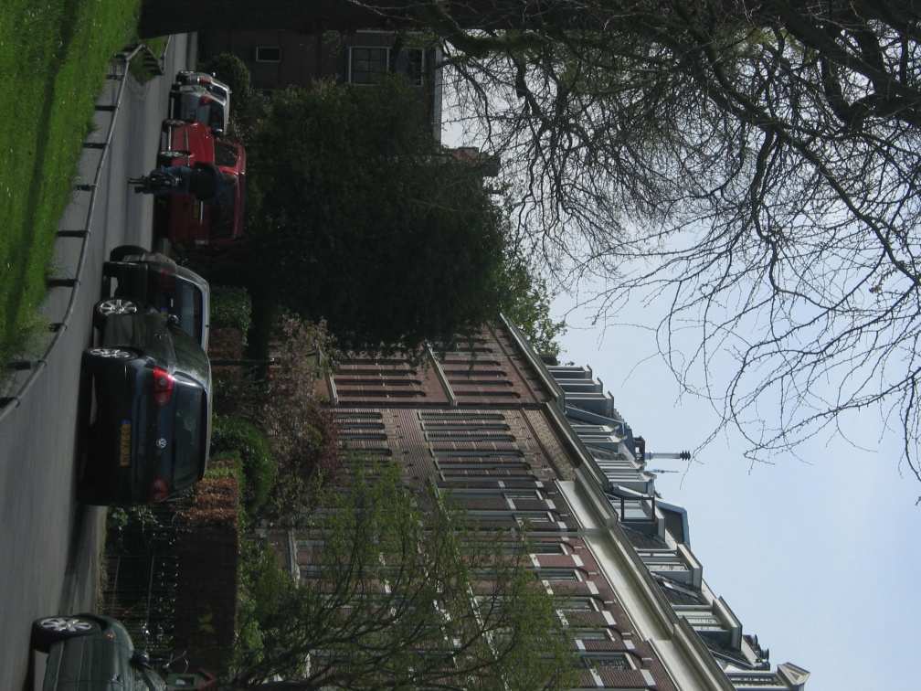 Singelpark54
