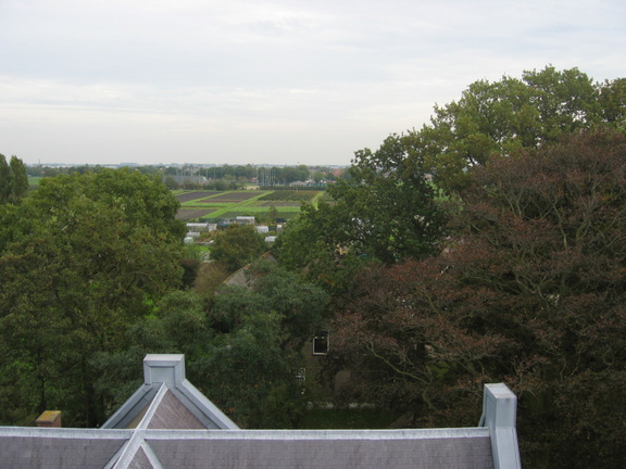 StBavo19