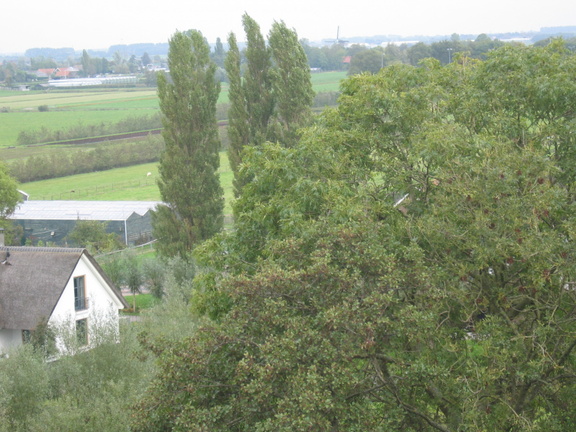 StBavo24