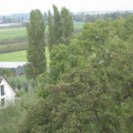 StBavo24