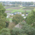 StBavo25