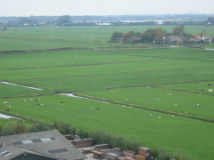 StBavo02