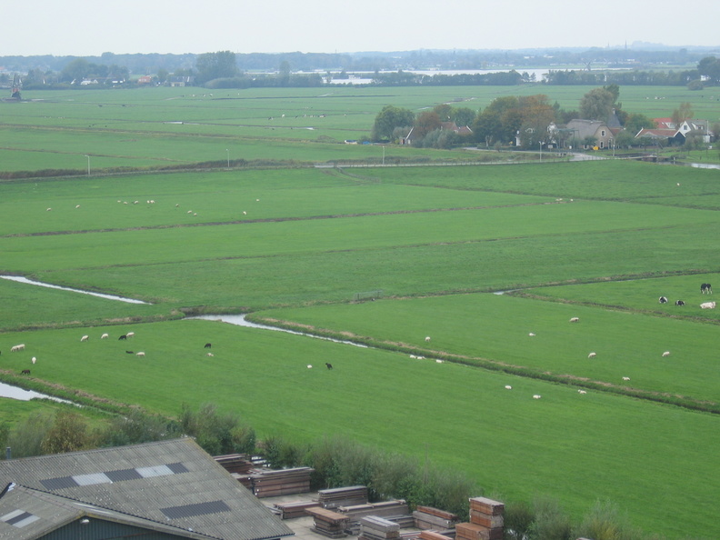 StBavo02