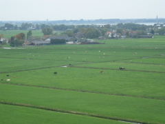StBavo03