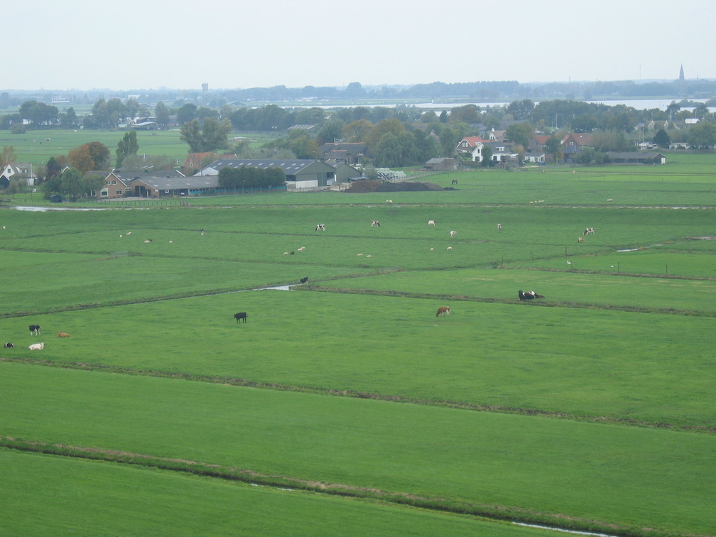 StBavo03