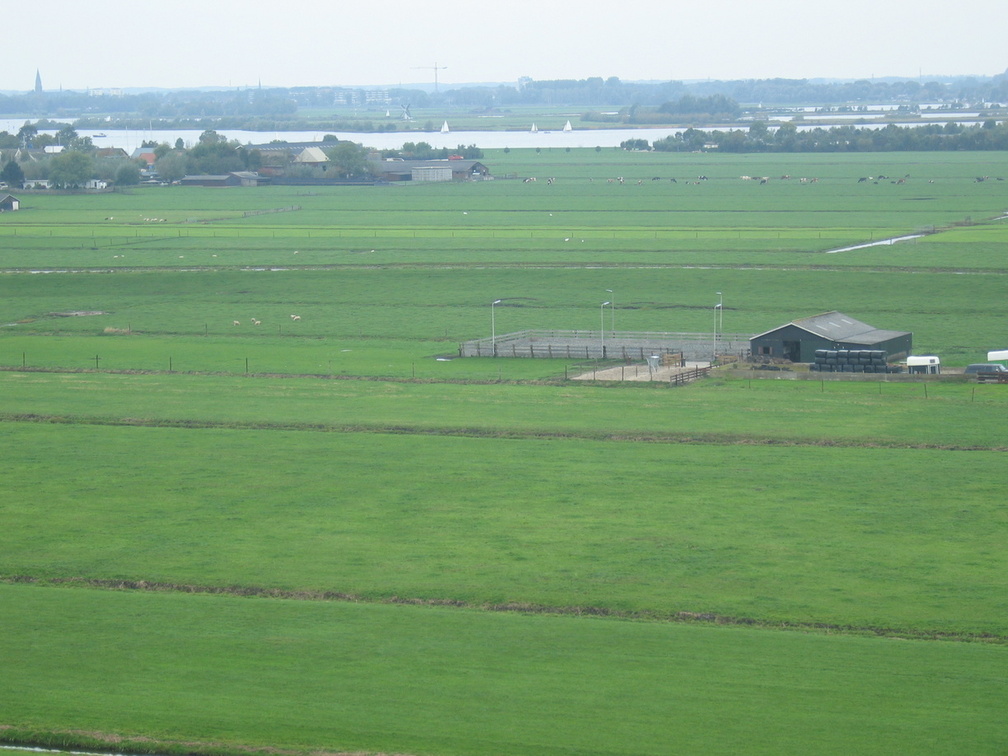StBavo04
