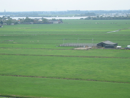 StBavo04