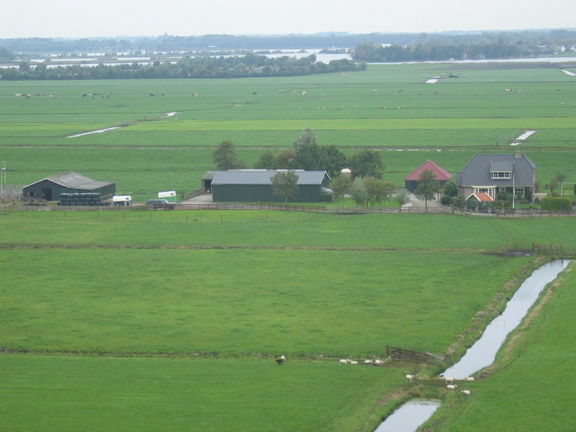 StBavo05
