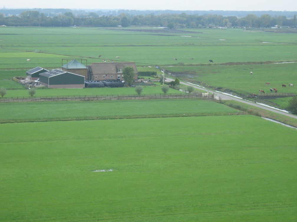 StBavo07