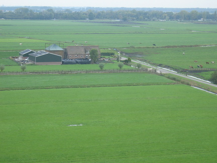 StBavo07