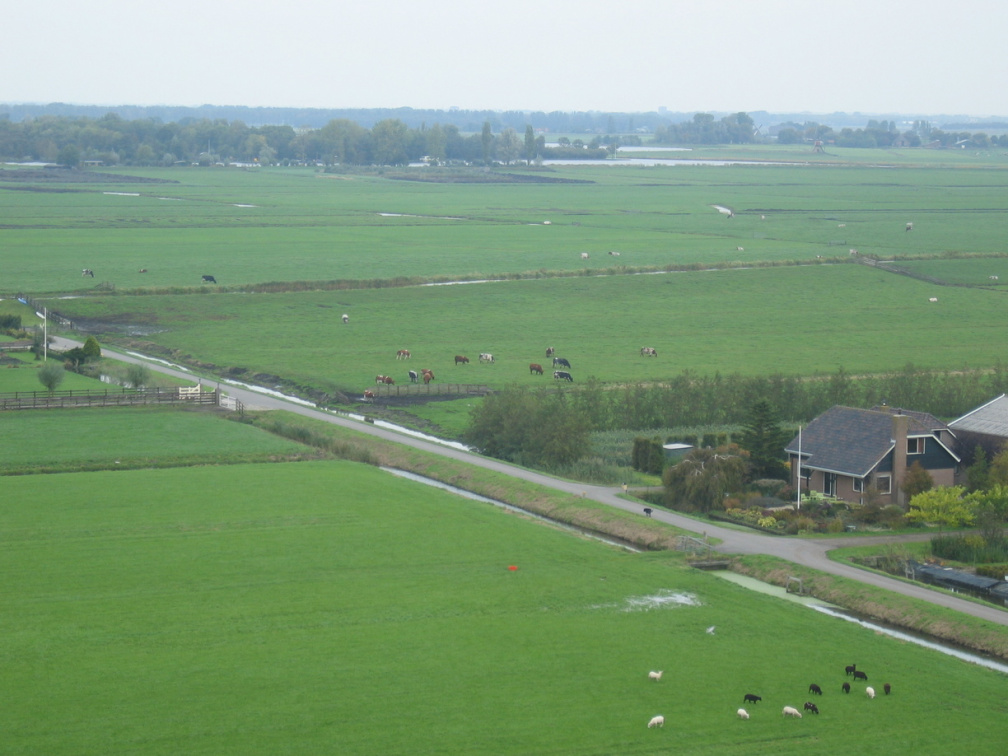 StBavo08