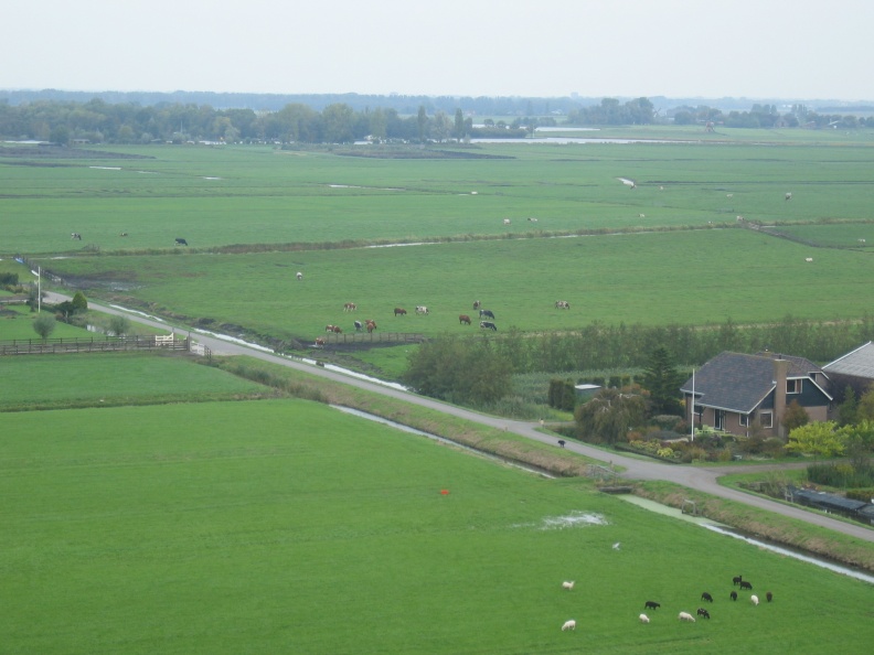 StBavo08.JPG