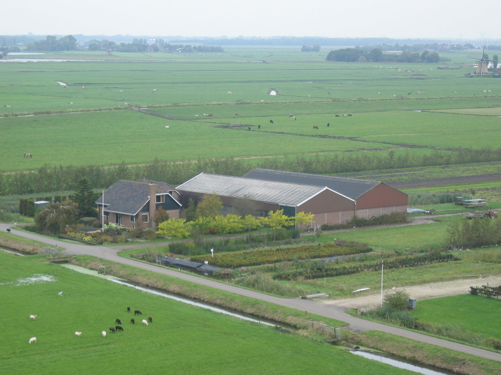 StBavo09