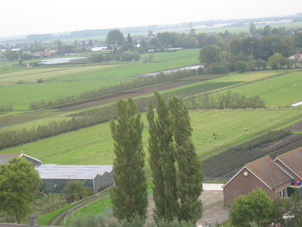 StBavo11