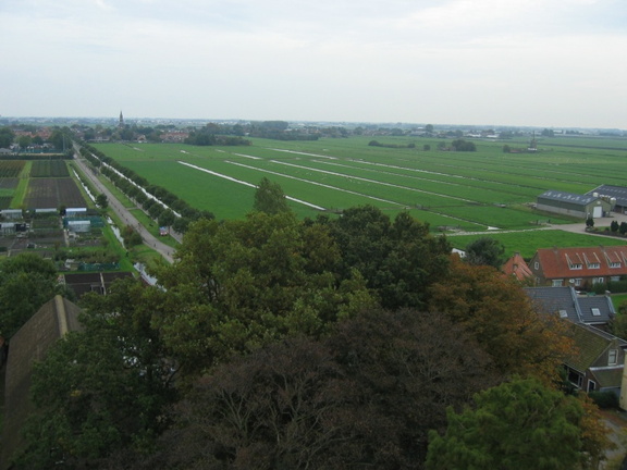 StBavo13
