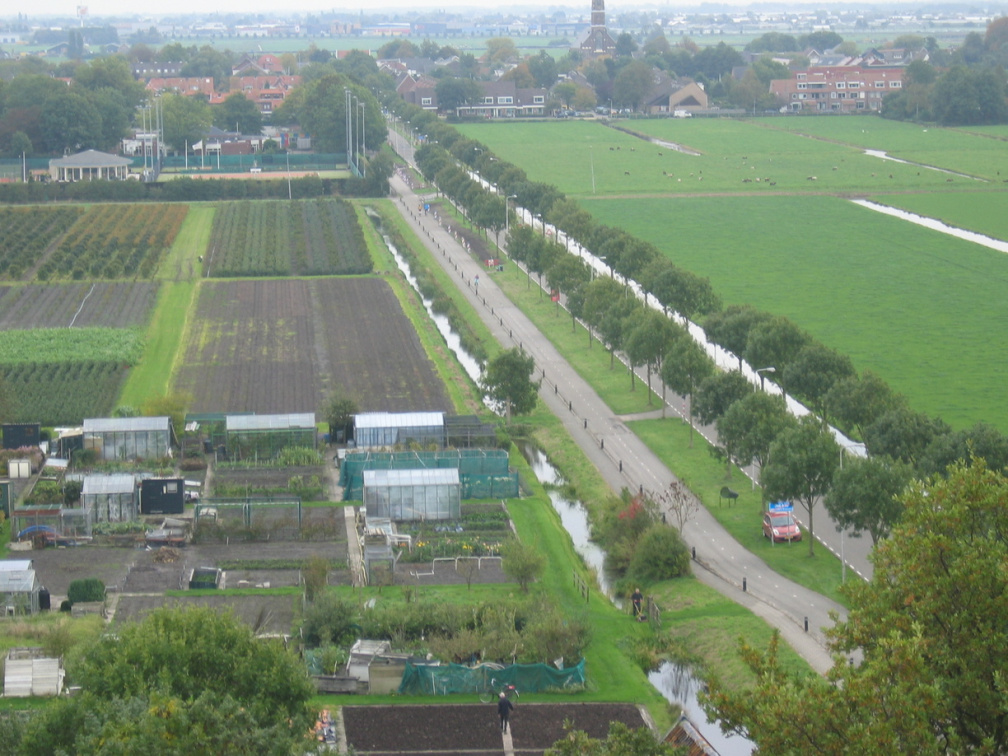 StBavo14