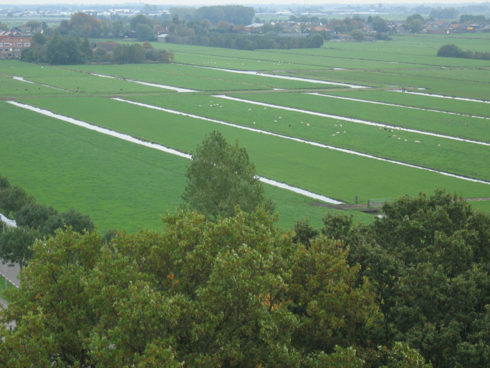 StBavo15