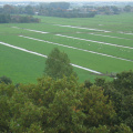 StBavo15
