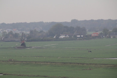 RES-IMG 0384