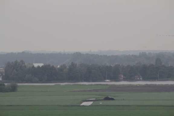 RES-IMG 0412
