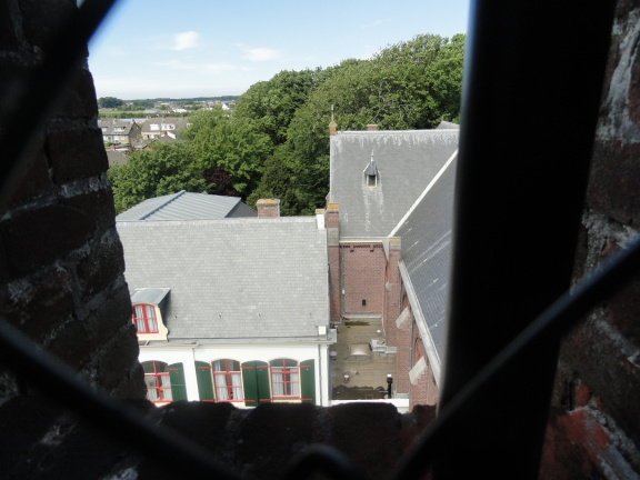 DSC00525