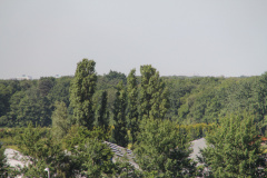 RES-IMG 2822