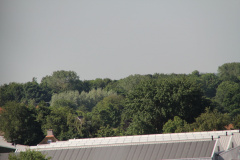 RES-IMG 2825