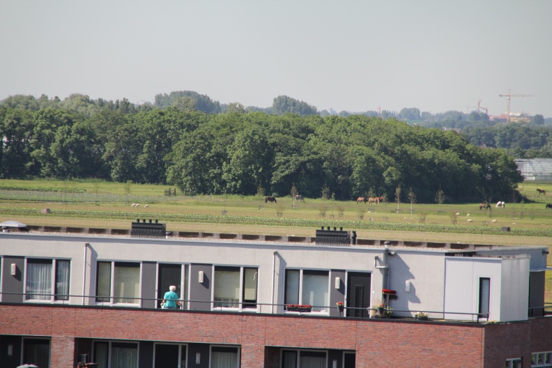 RES-IMG_2831.jpg