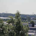 RES-IMG 2849