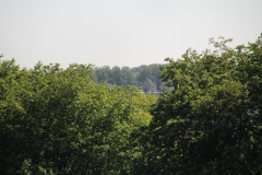 RES-IMG 2859