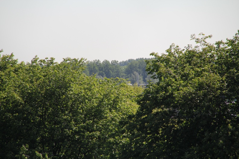 RES-IMG 2859