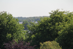 RES-IMG 2860