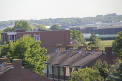 RES-IMG 2863