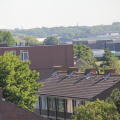 RES-IMG 2863
