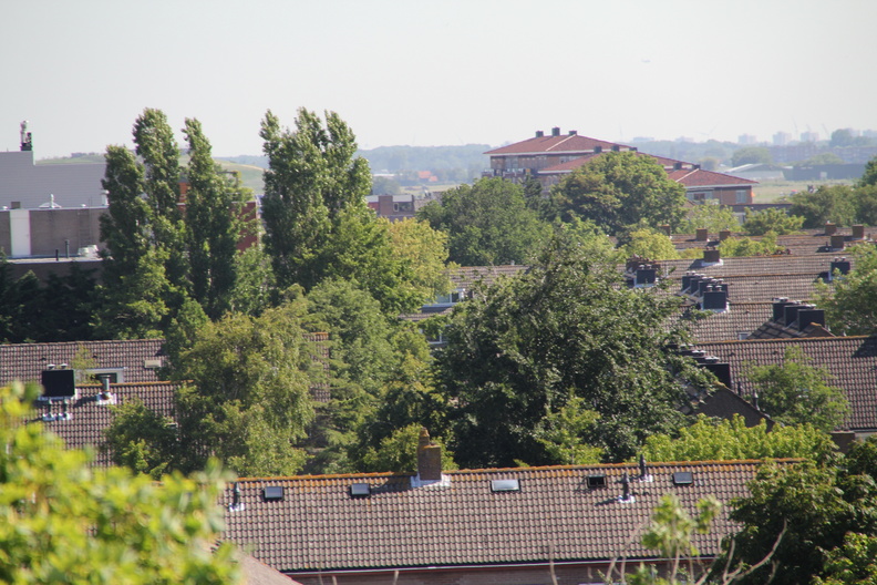 RES-IMG_2866.jpg