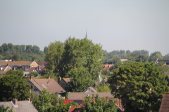 RES-IMG 2877