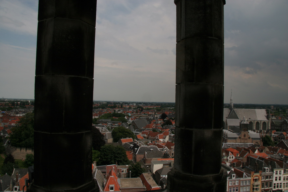 IMG 7229