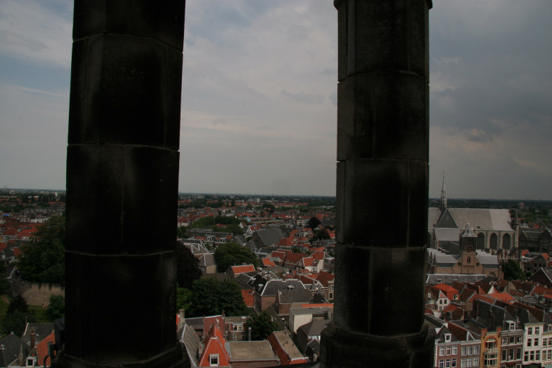 IMG 7229