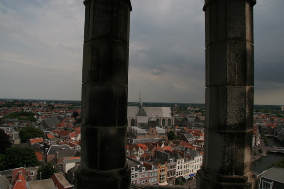 IMG 7230