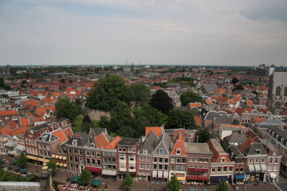IMG 7231