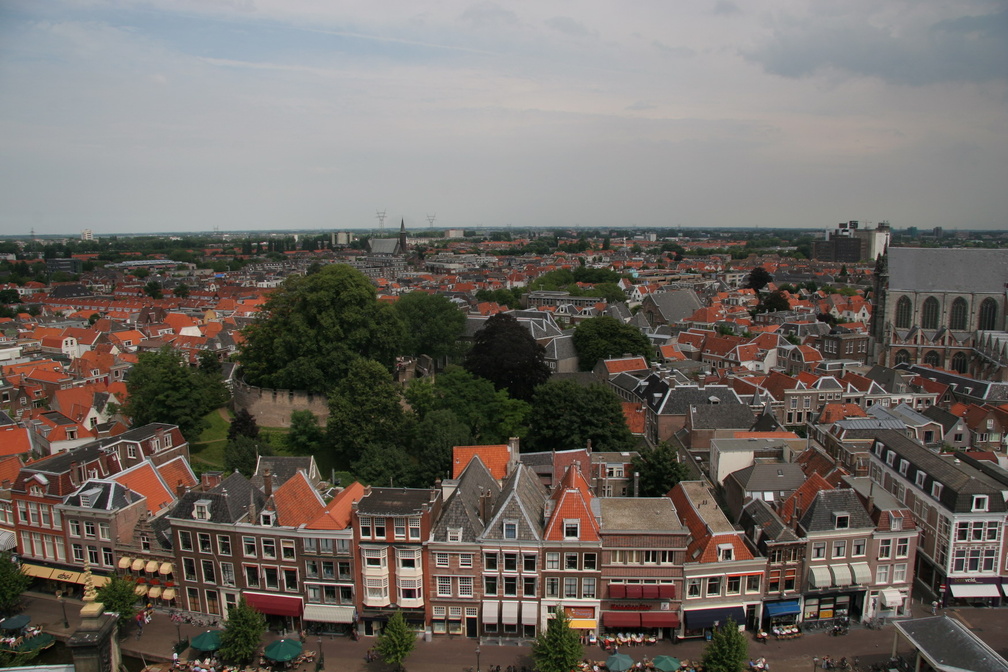 IMG 7234