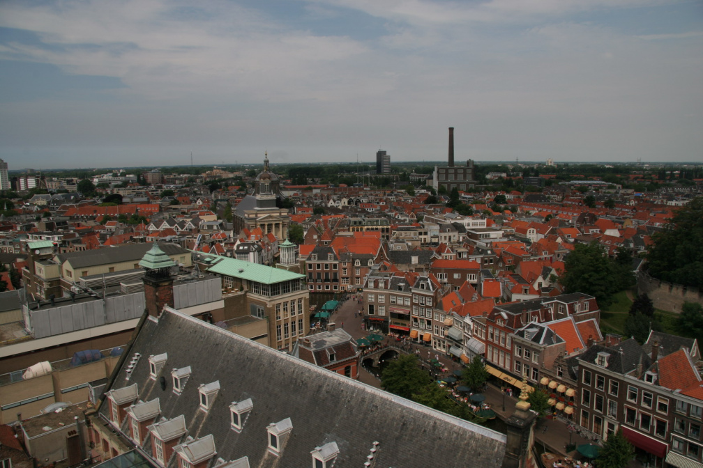IMG 7235