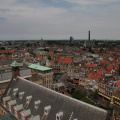 IMG 7236