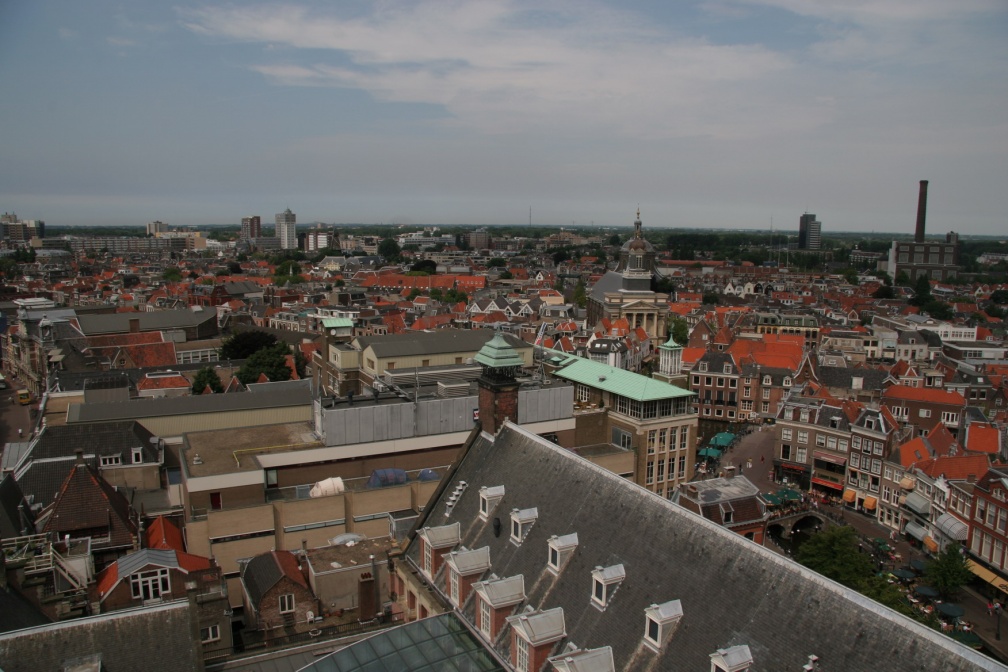 IMG 7238