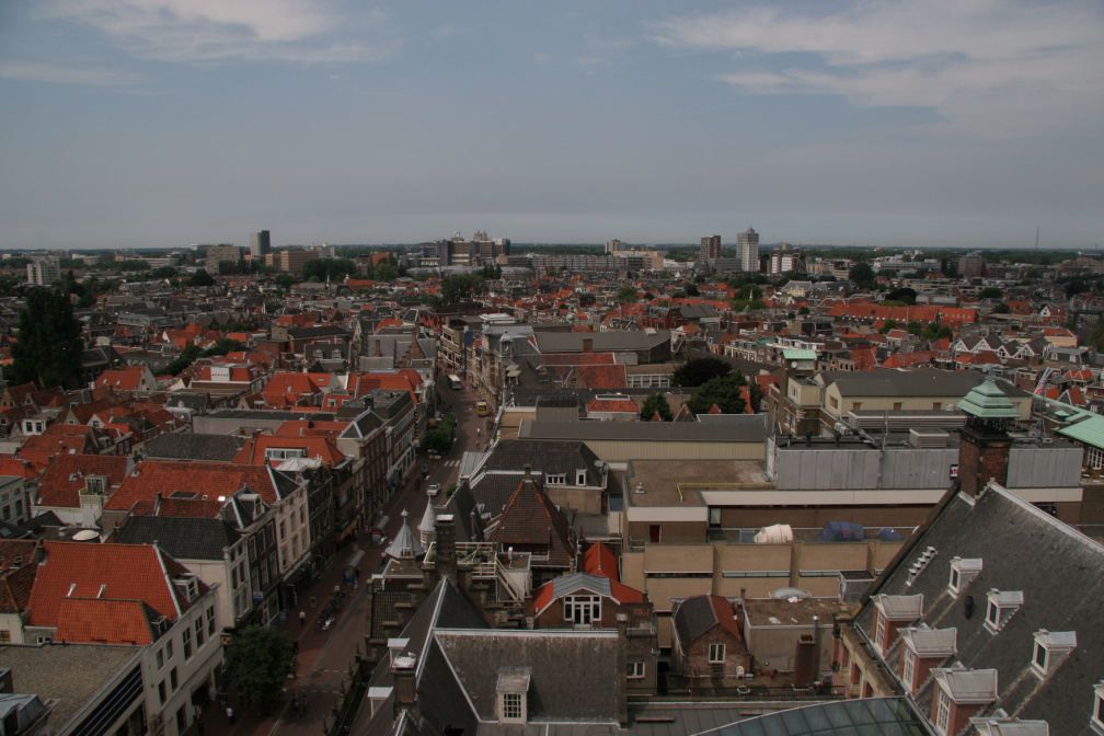 IMG 7239